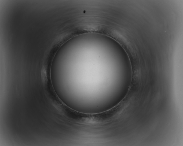 X0000089850688200706281251