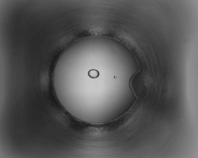 X0000089850690200706281251