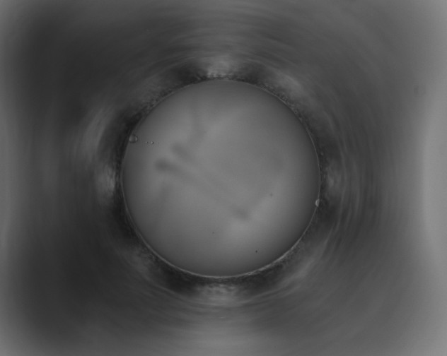 X0000089850691200706281251