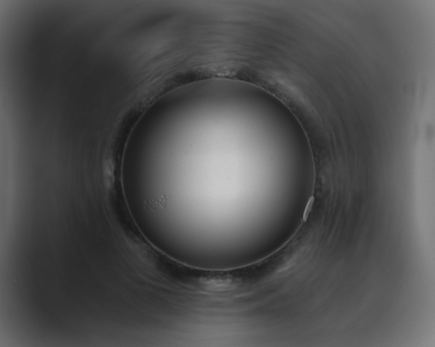 X0000089850693200706281251