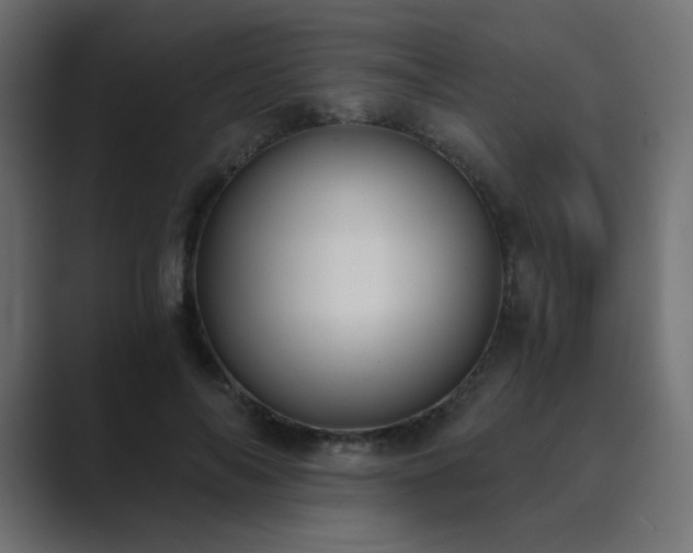 X0000089850694200706281251