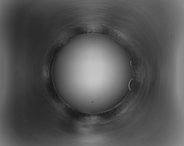 X0000089850695200706281251