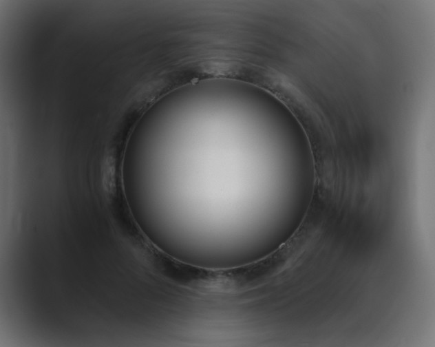 X0000089850696200706281251