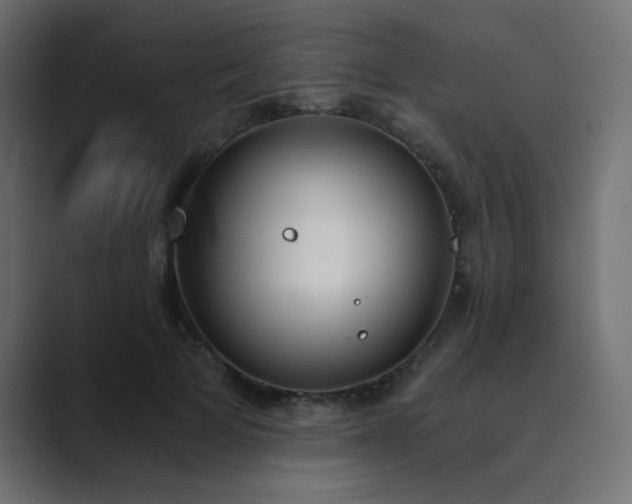 X0000089850697200706281251