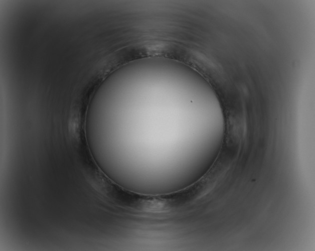 X0000089850698200706281251