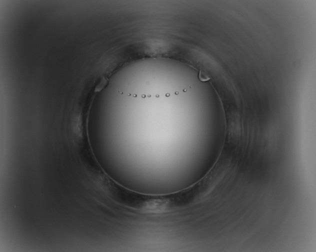 X0000089850700200706281251