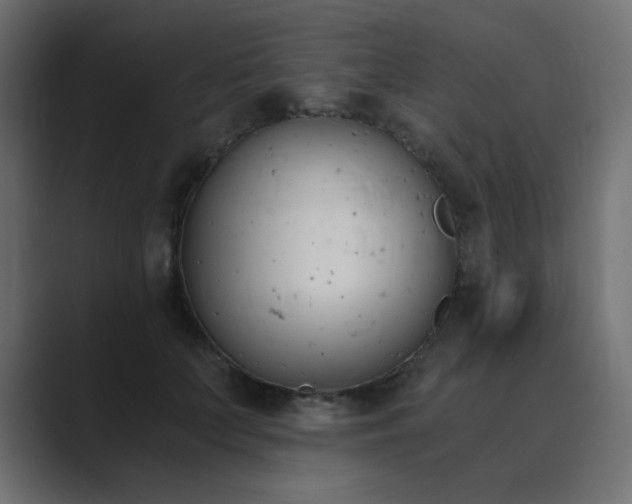 X0000089850703200706281251