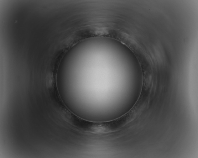 X0000089850704200706281251