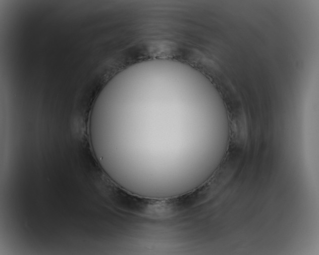 X0000089850705200706281251