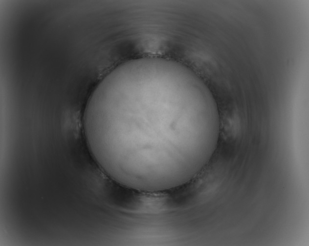 X0000089850707200706281251