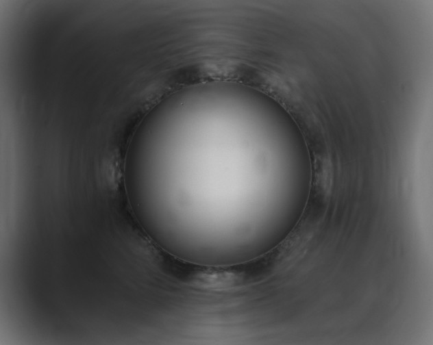 X0000089850712200706281251