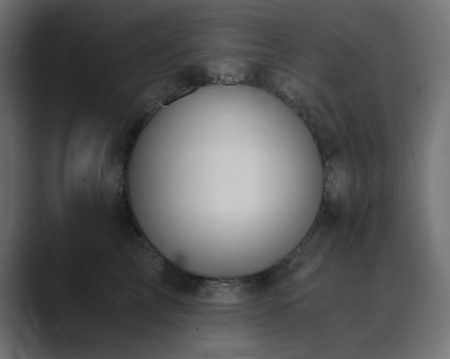 X0000089850713200706281251