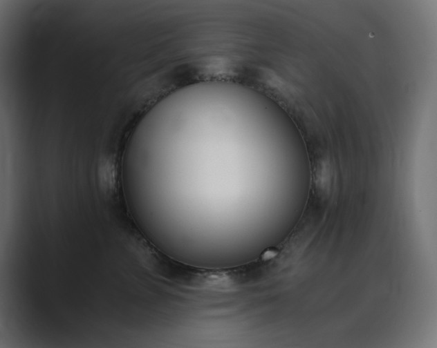 X0000089850715200706281251