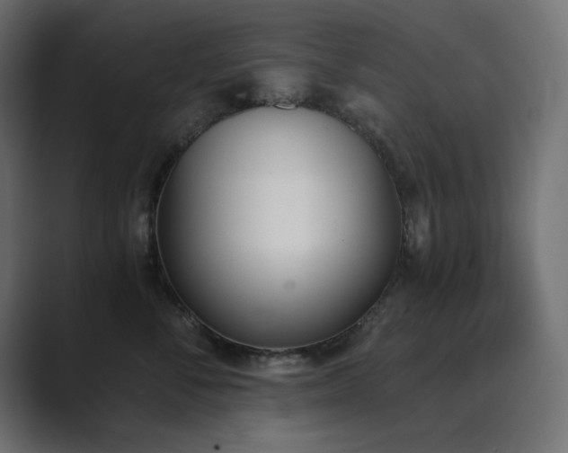 X0000089850716200706281251