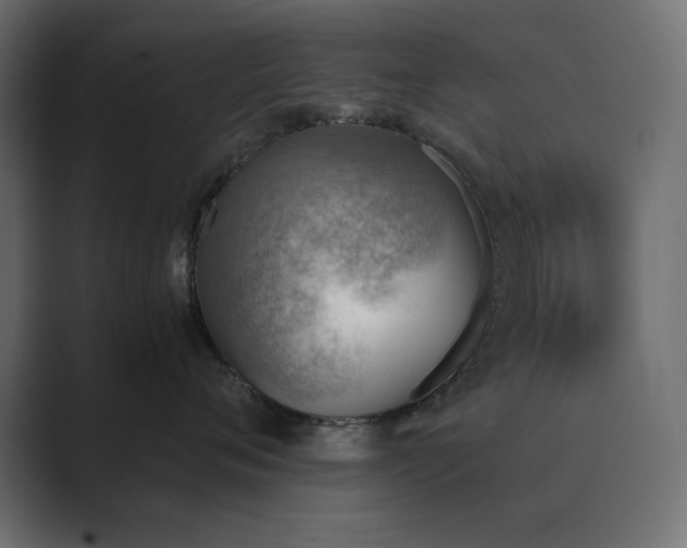 X0000089850720200706281251