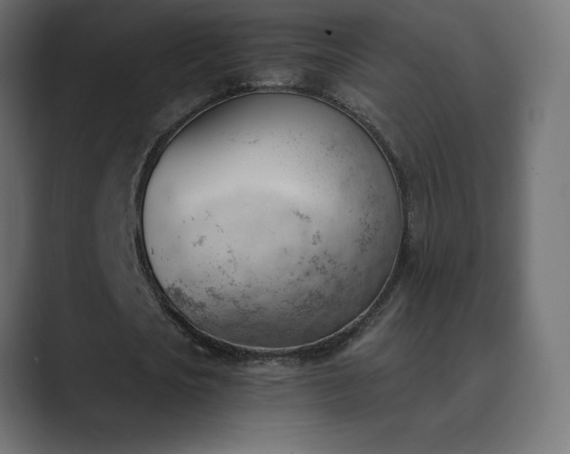 X0000089850721200706281250