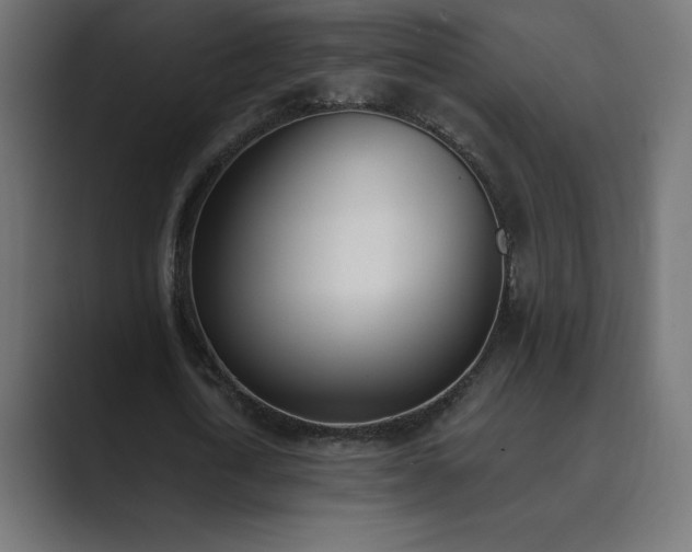 X0000089850722200706281250
