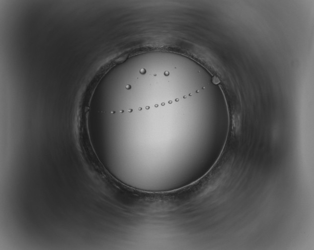 X0000089850724200706281250