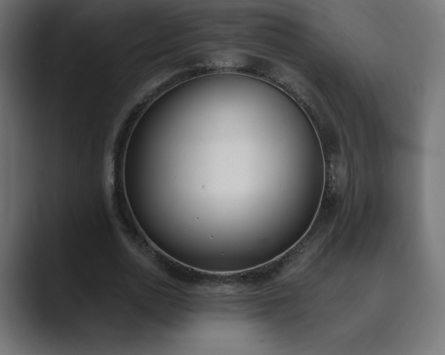 X0000089850726200706281250