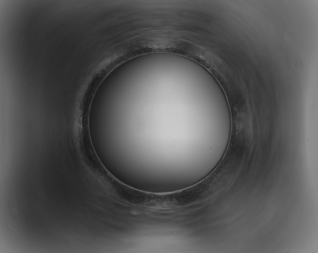 X0000089850727200706281250