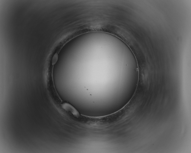 X0000089850728200706281250