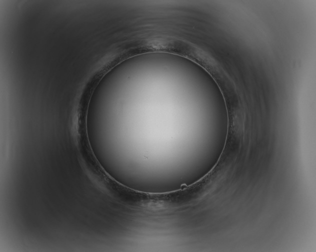 X0000089850730200706281250