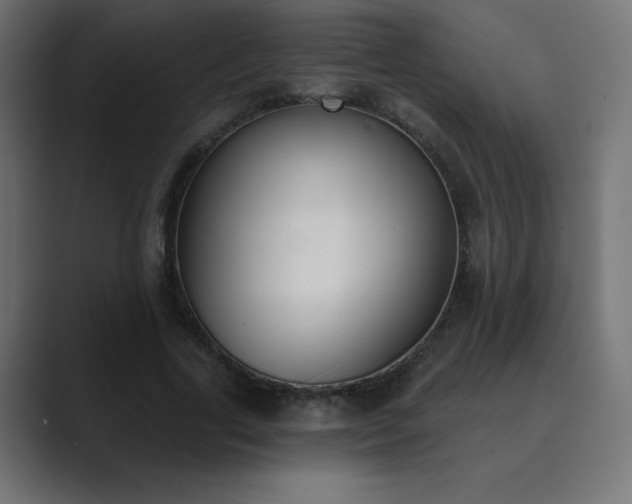X0000089850731200706281250