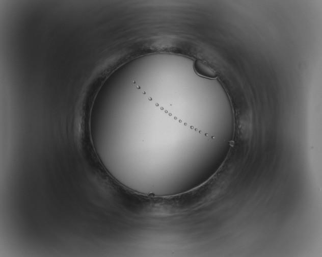 X0000089850732200706281251