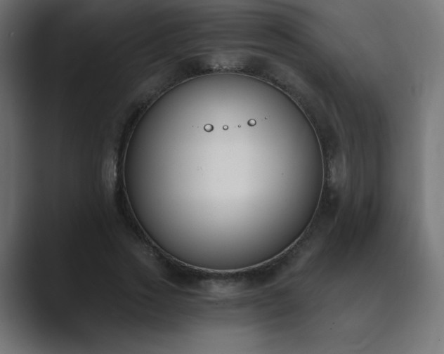 X0000089850733200706281251