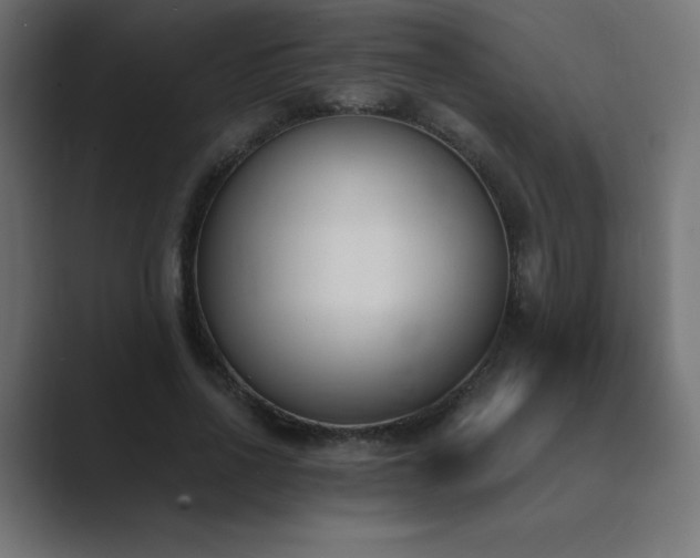 X0000089850734200706281251