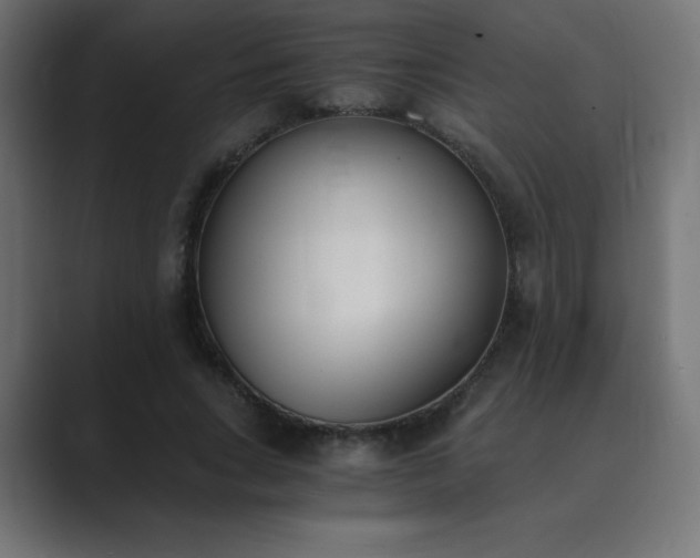 X0000089850735200706281251