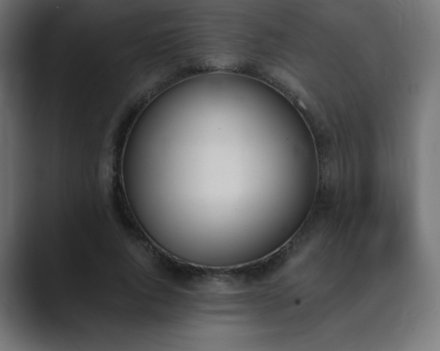 X0000089850736200706281251