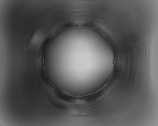 X0000089850737200706281251