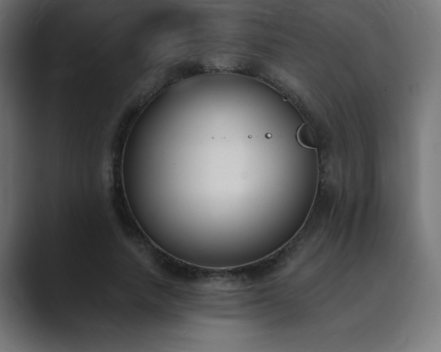 X0000089850738200706281251