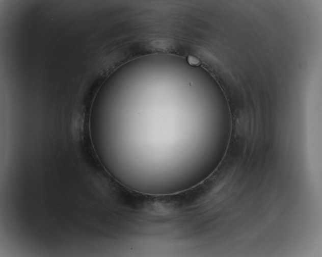 X0000089850739200706281251
