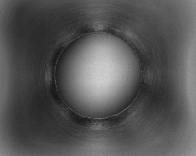 X0000089850740200706281251