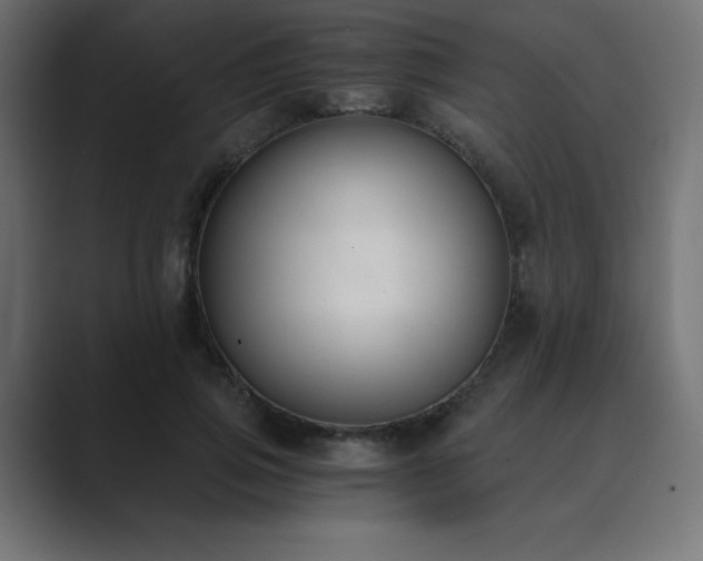 X0000089850741200706281251
