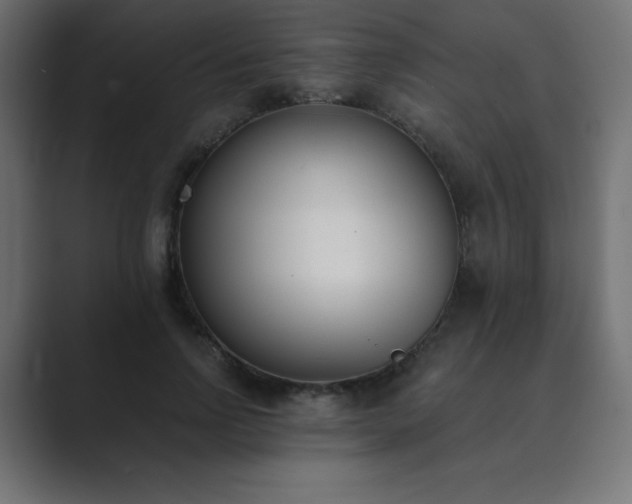 X0000089850742200706281251