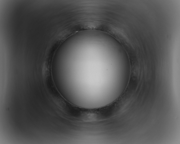 X0000089850743200706281251