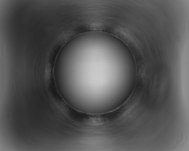X0000089850744200706281251