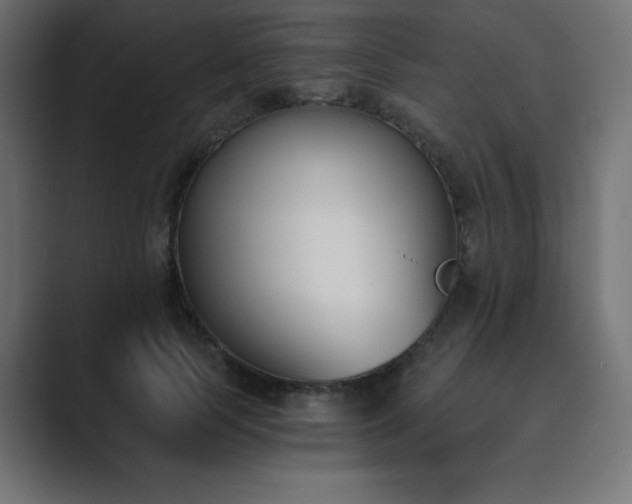 X0000089850745200706281251