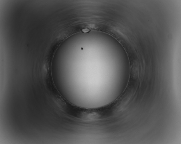 X0000089850747200706281251