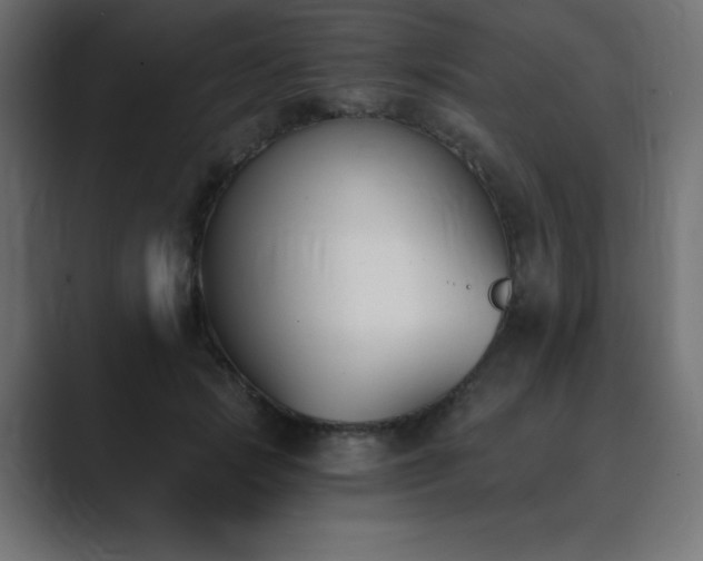 X0000089850749200706281251