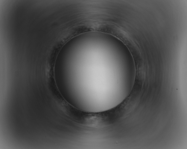 X0000089850750200706281251