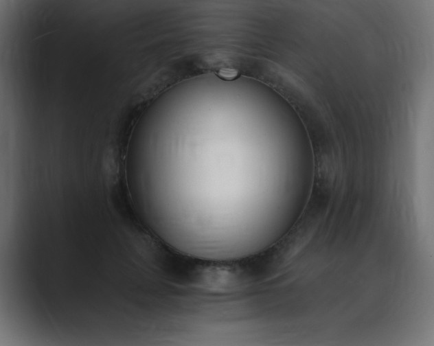 X0000089850751200706281251