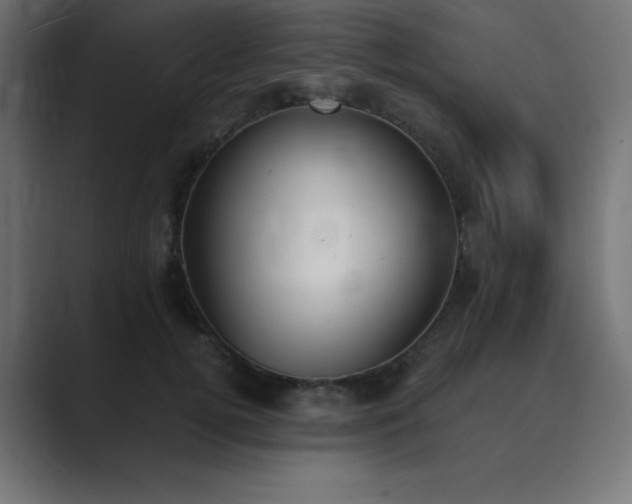 X0000089850752200706281251