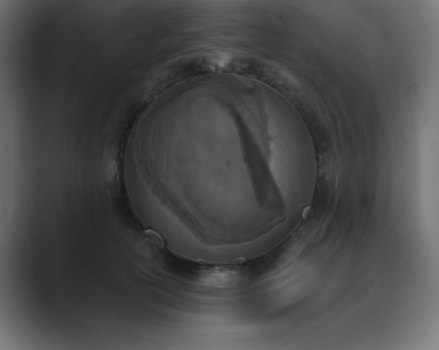 X0000089850754200706281251