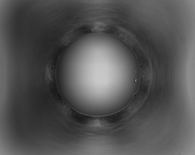 X0000089850755200706281251