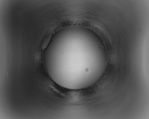 X0000089850756200706281251