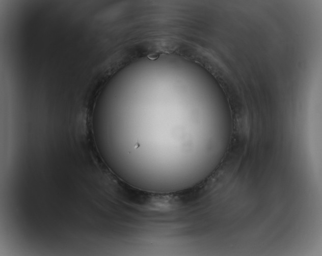 X0000089850757200706281251